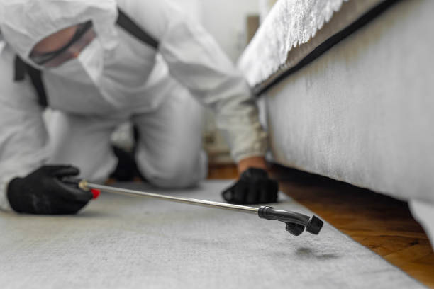 Professional Pest Control technician working in La Vernia, TX