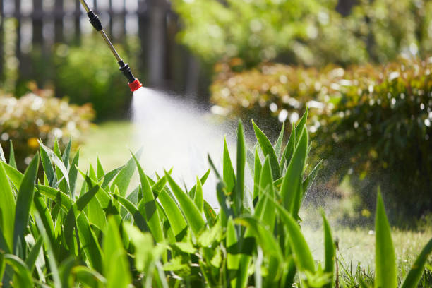 24/7 Emergency Pest Control experts in La Vernia, TX